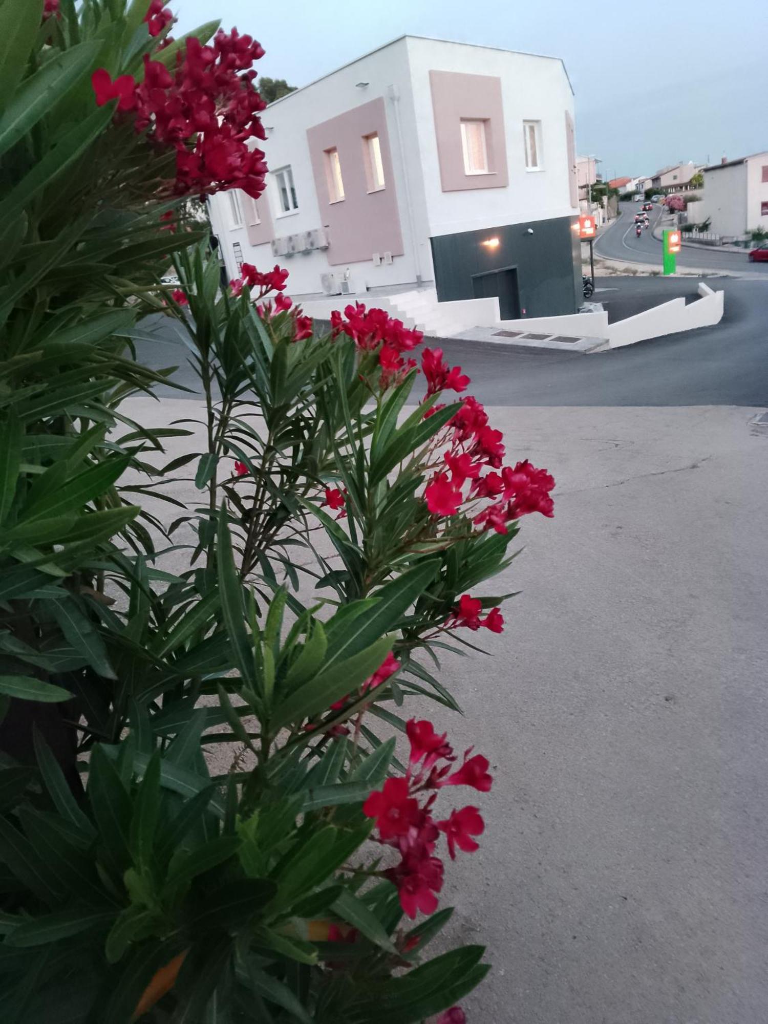 Ferienwohnung Marin Šibenik Exterior foto
